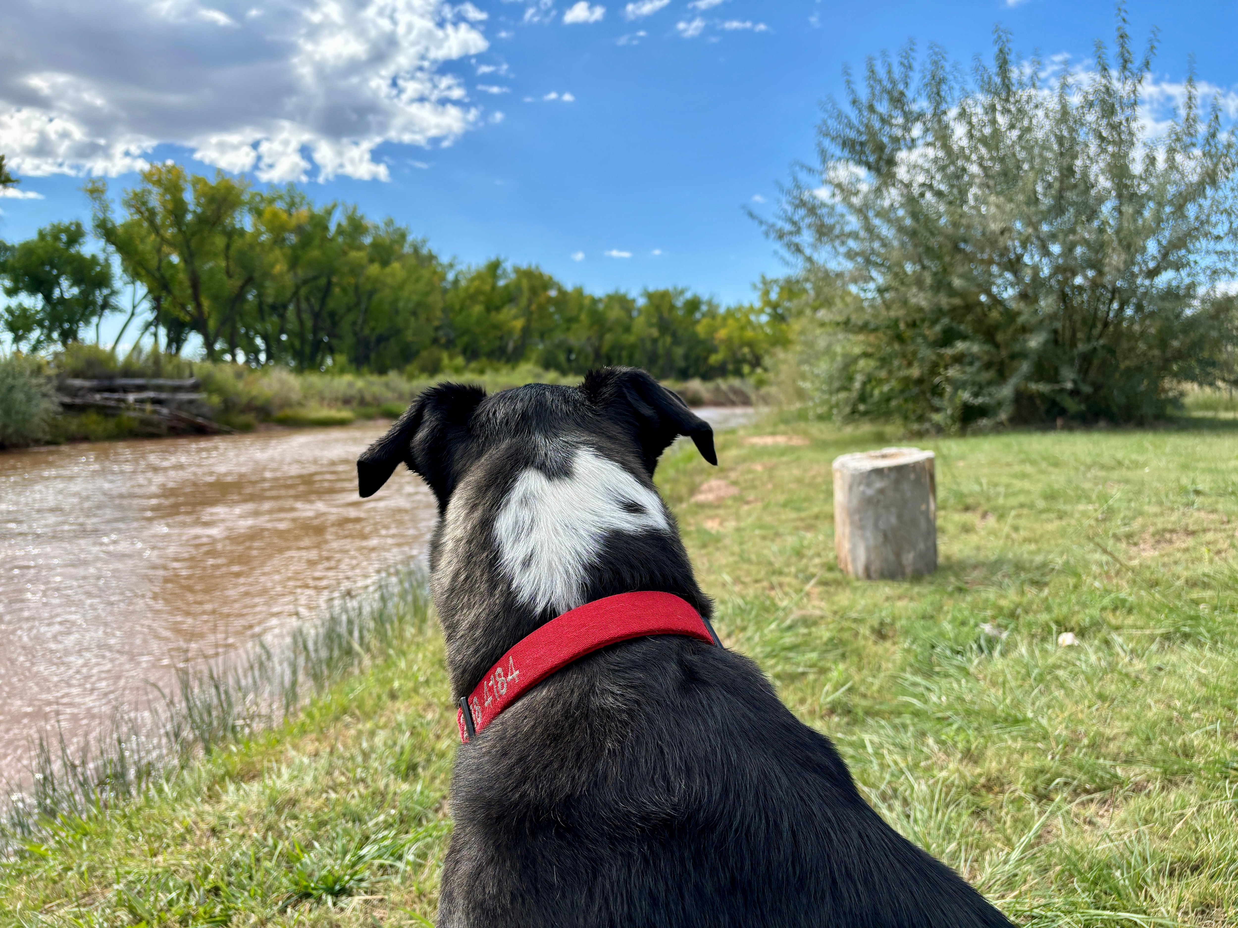 Everyone will be spellbound by this view of the Chama 
