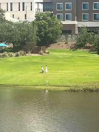 An engagement at Cascades!