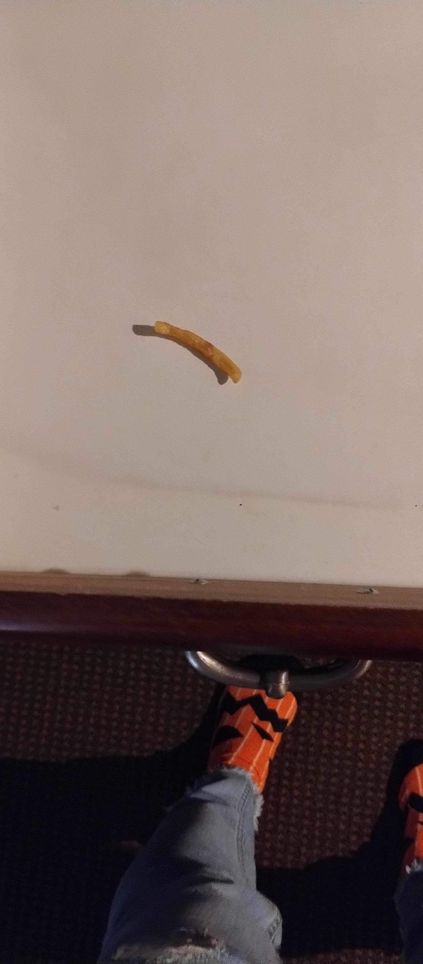 Petrified French fry