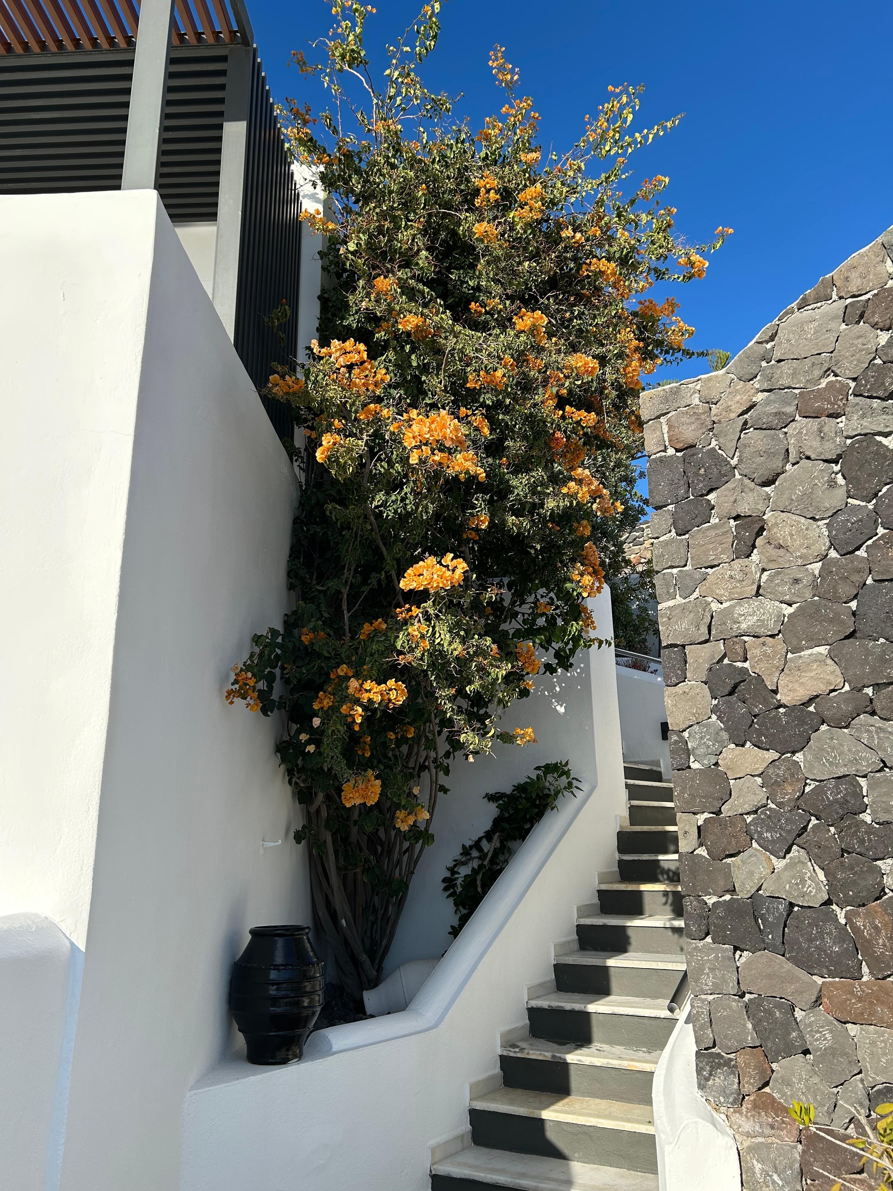 Stairs up to our room
