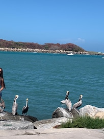Walked the Jetty beautiful