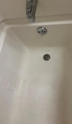 Filthy tub