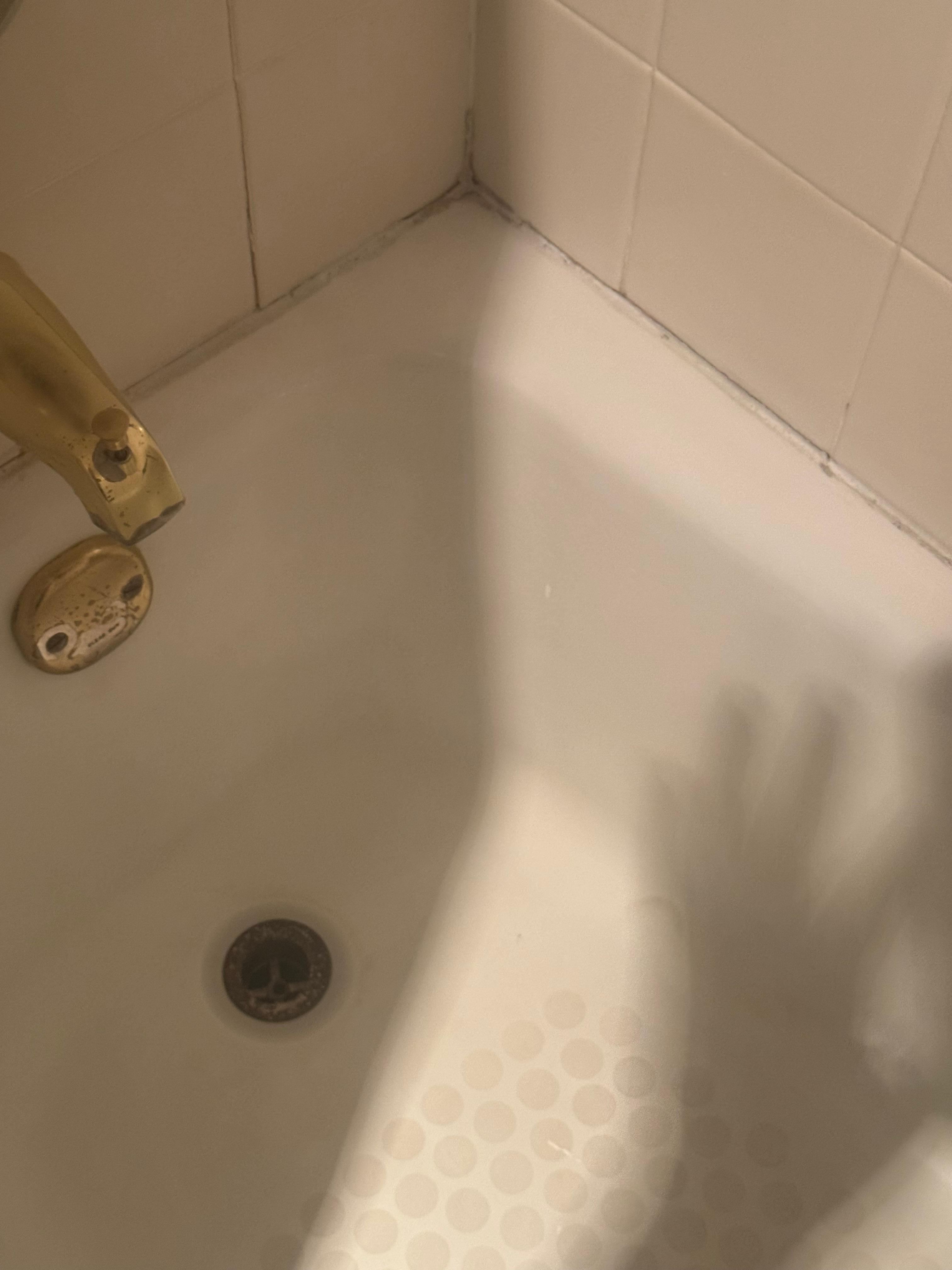 Mildew in the caulking