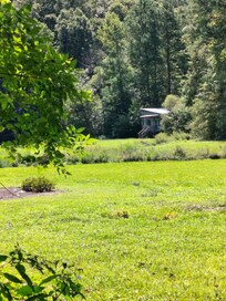 A view of the cottage...