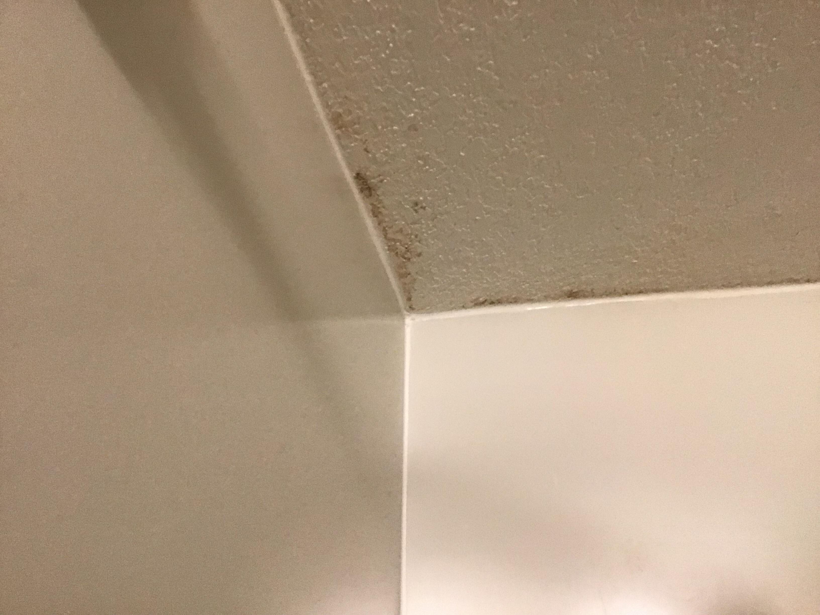 Moldy ceiling