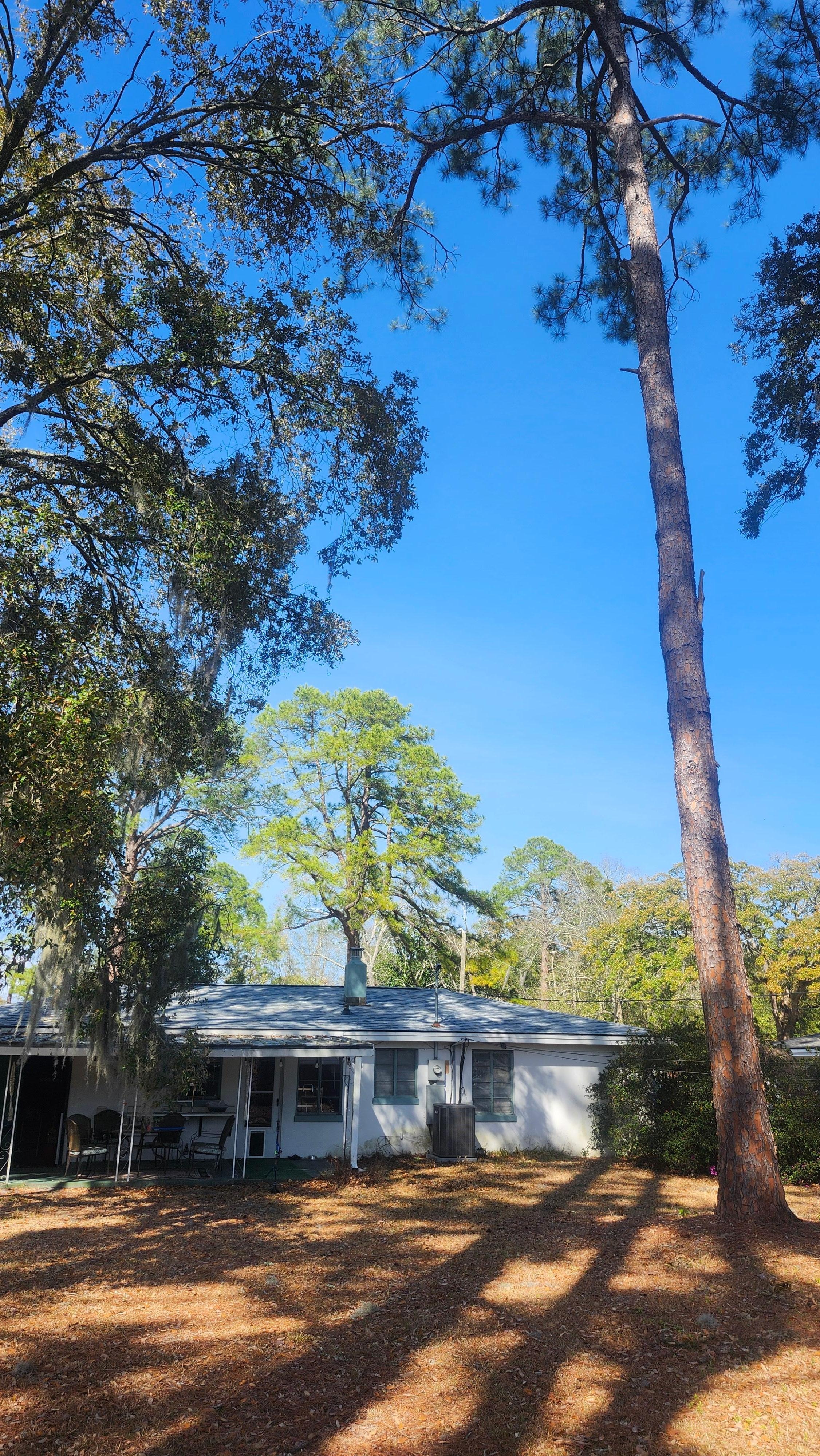View of house from backyard