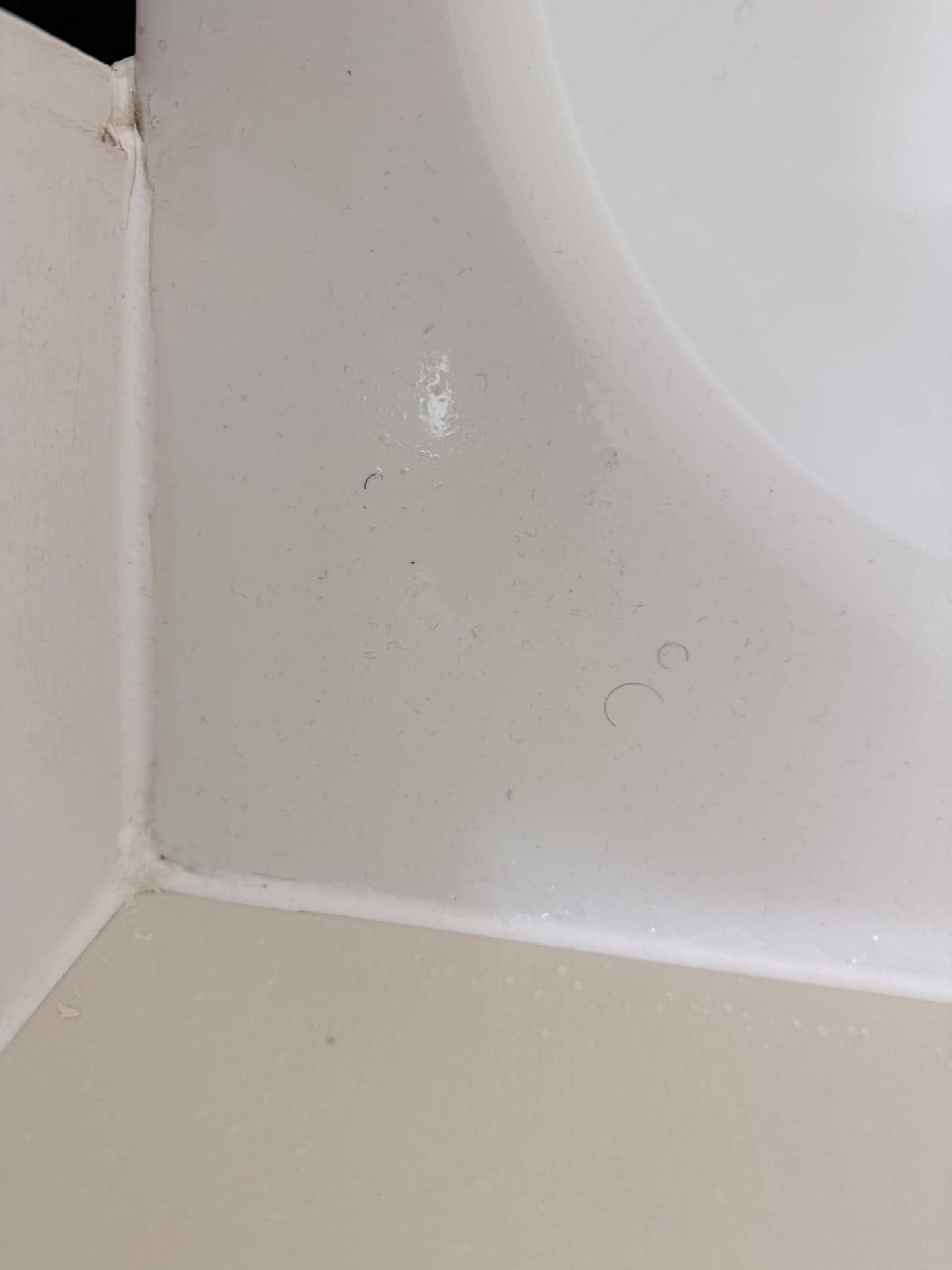 Black Hairs around the bathroom 1