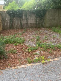This is the wall and area when you come in the backyard gate.