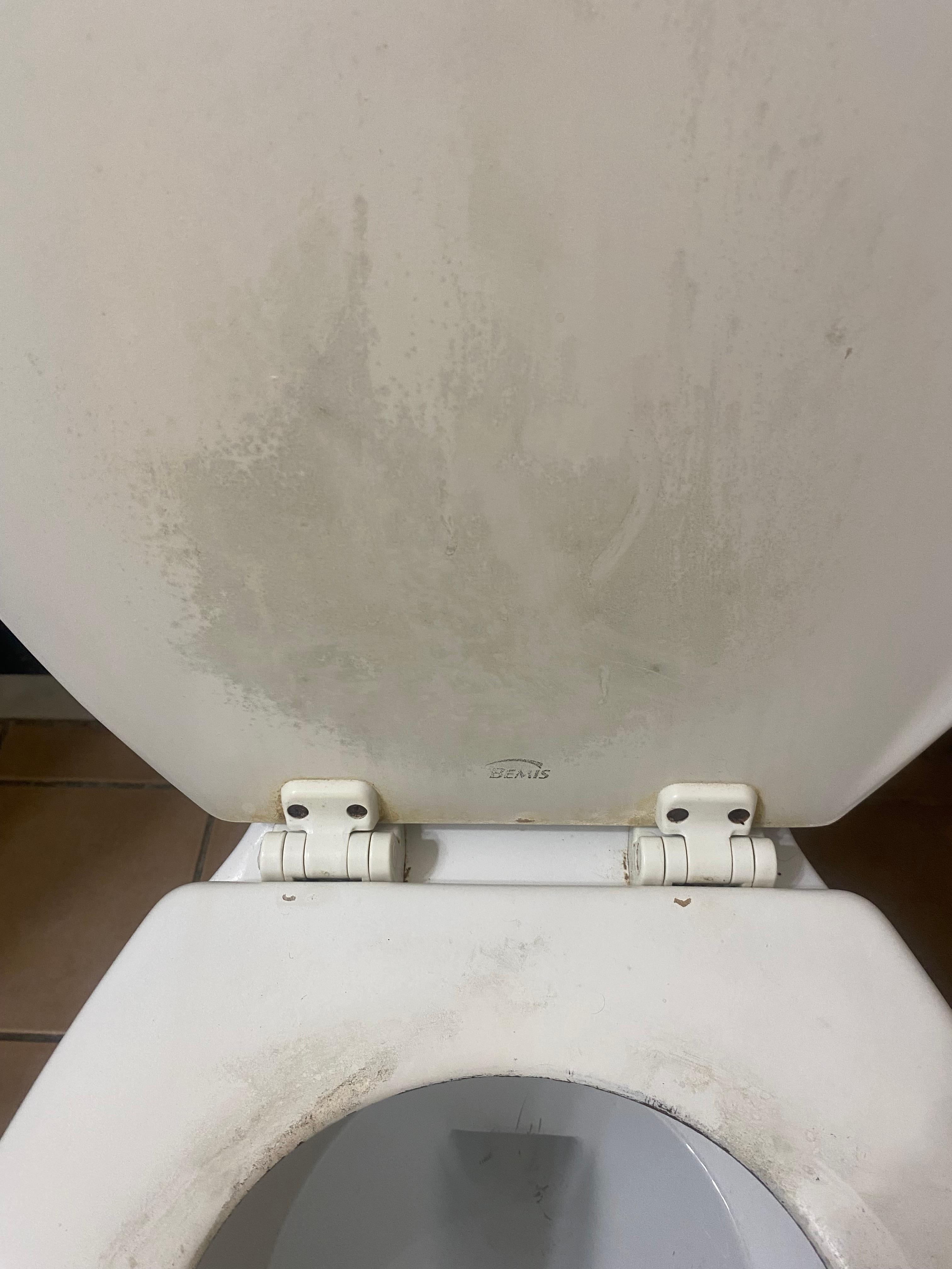 Grey dirt on inside lid of toilet - I cleaned off