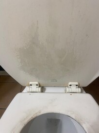 Grey dirt on inside lid of toilet - I cleaned off