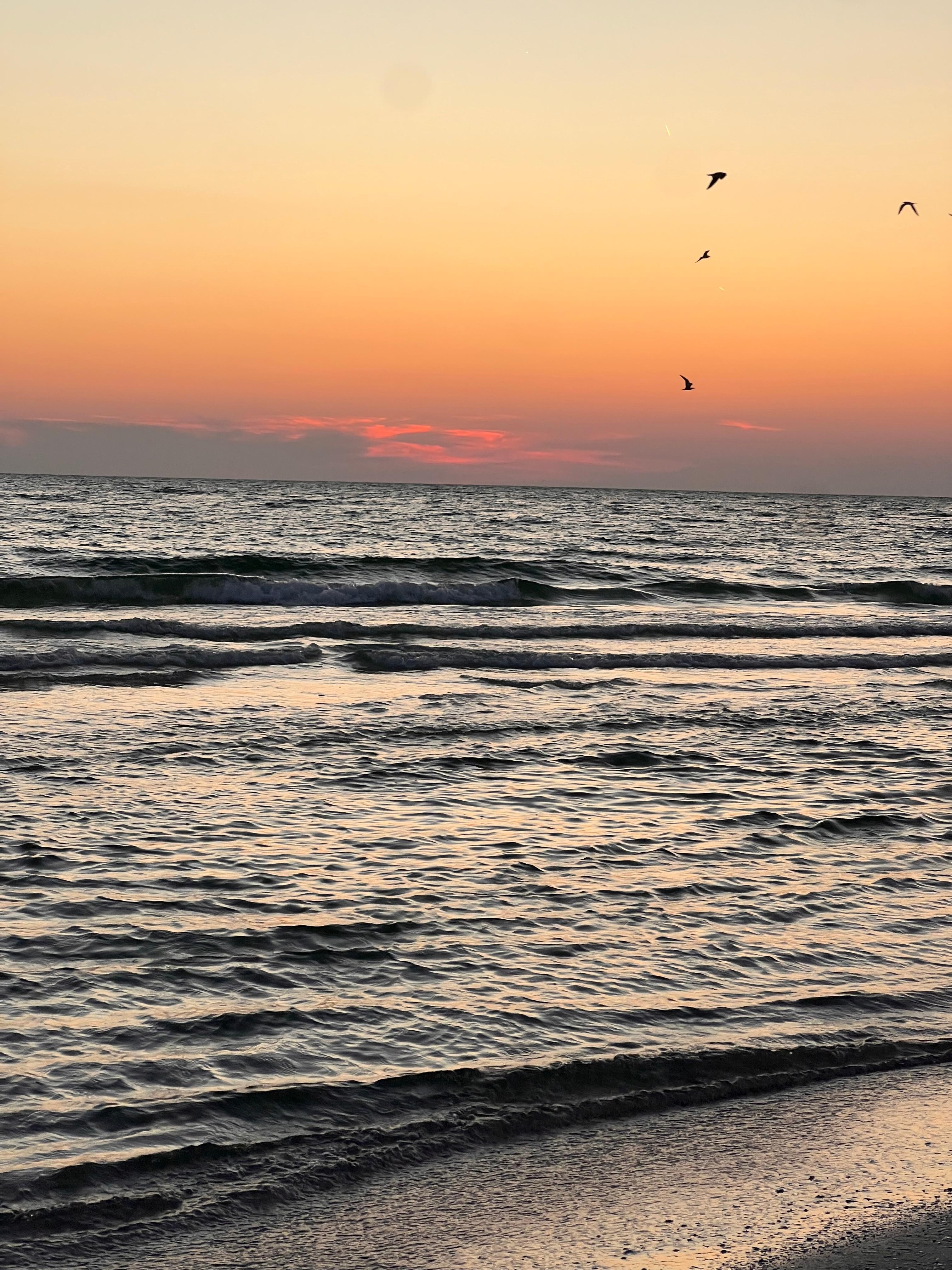 Beautiful sunset so close to the beach 