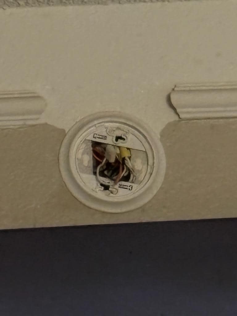 fire alarm missing the detector 