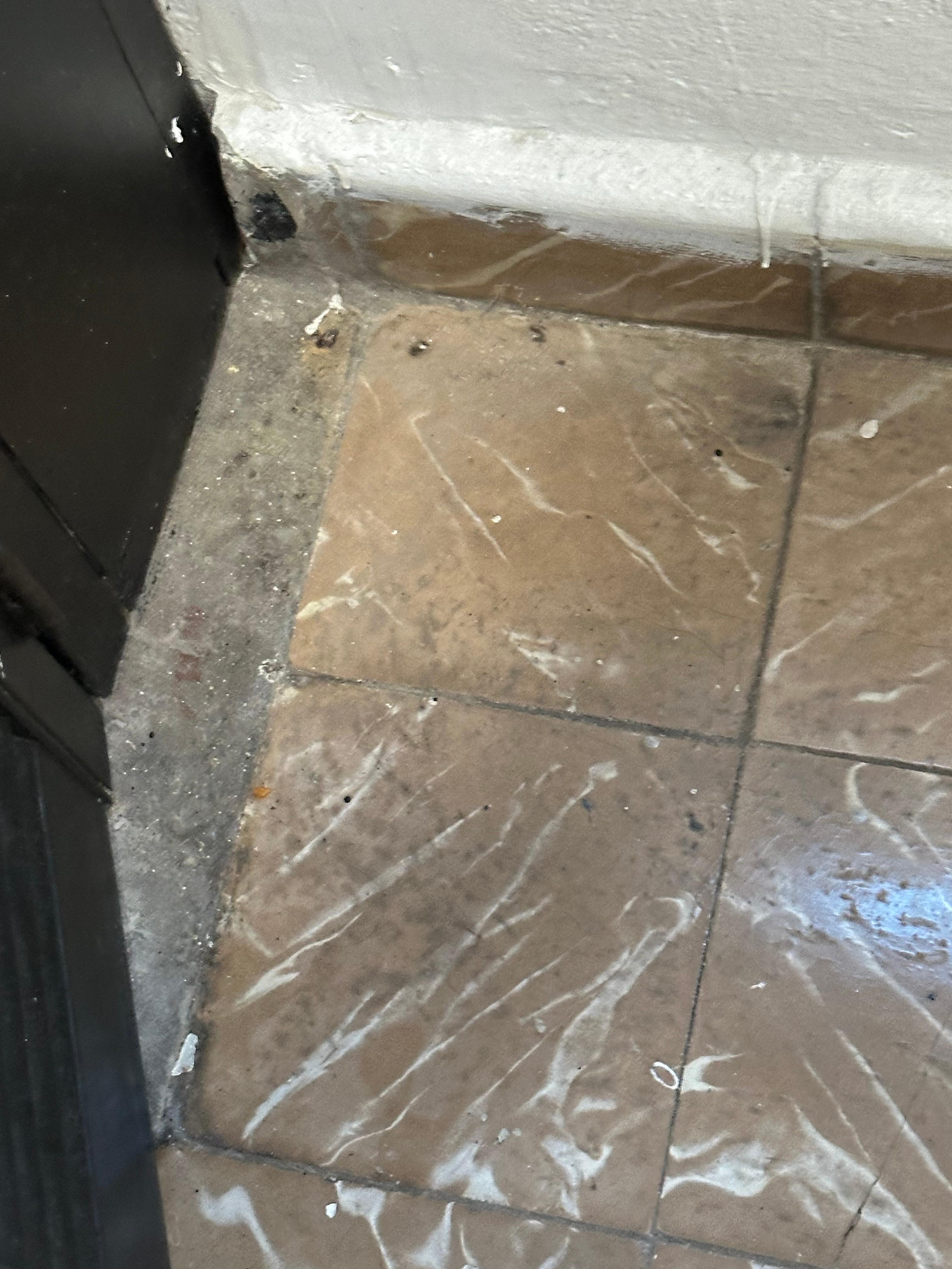 Dirty floors throughout 