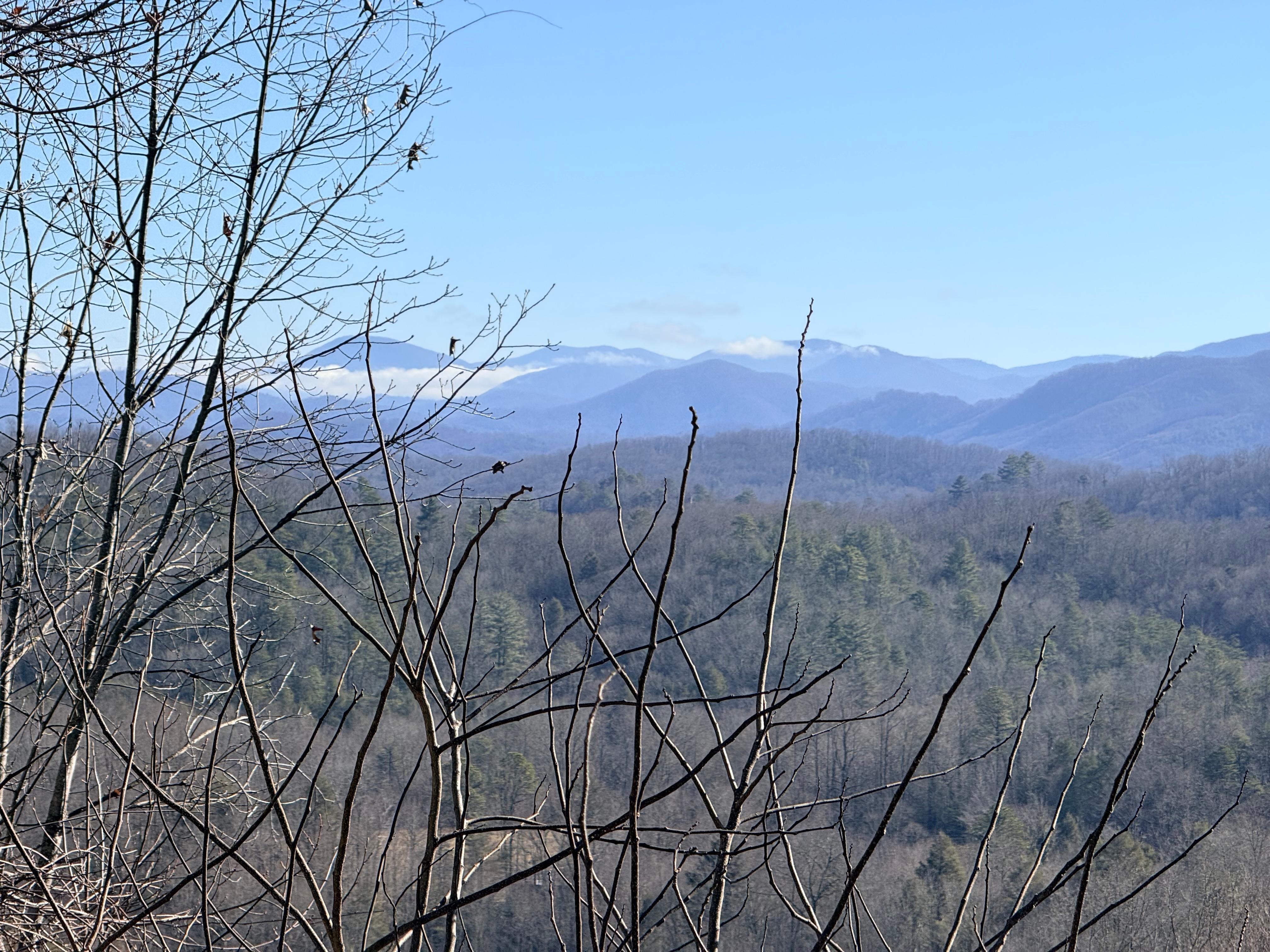 Clear view (back deck)