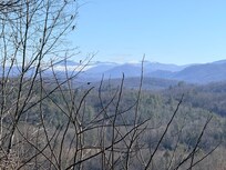 Clear view (back deck)