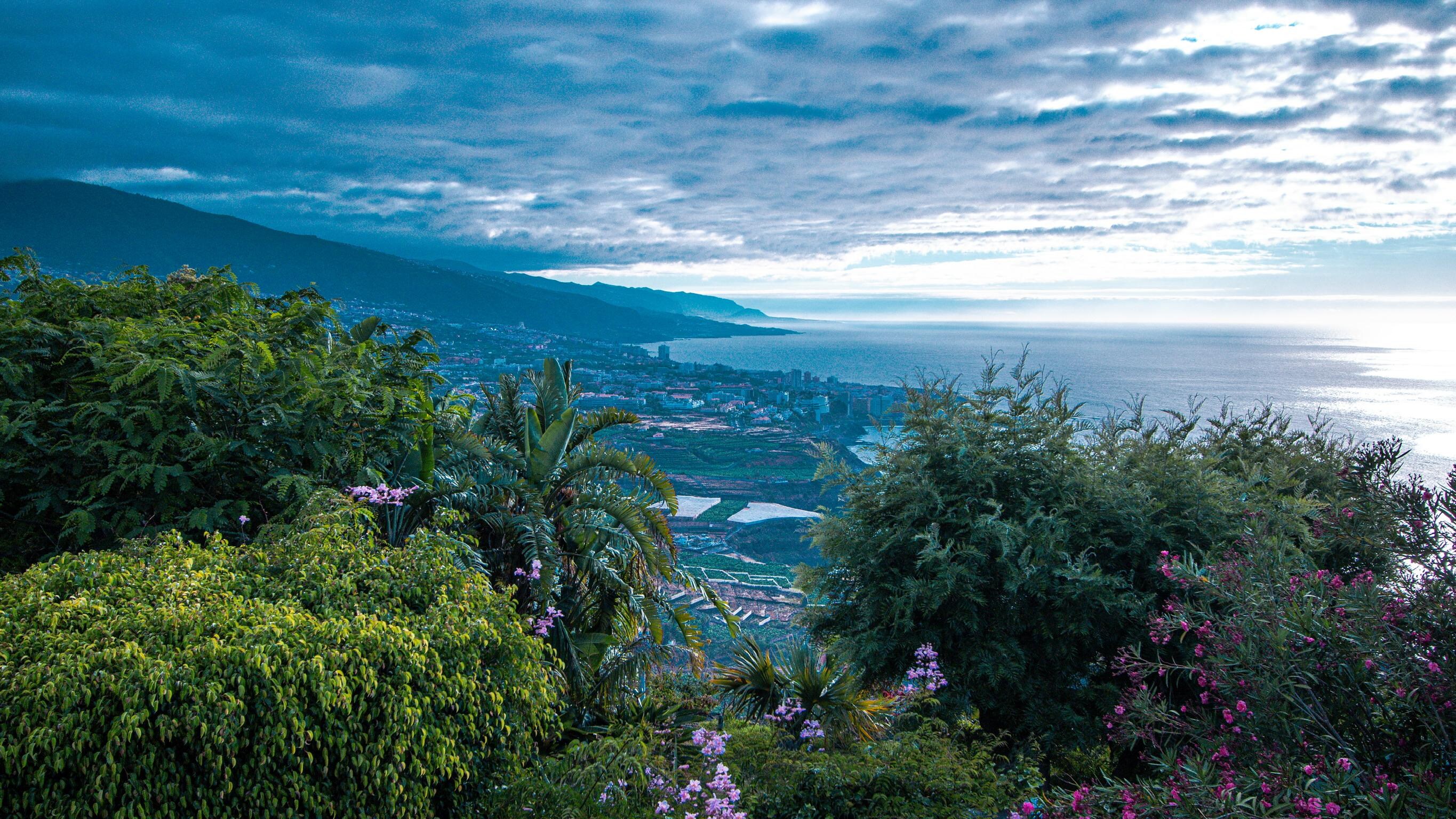 View from patio