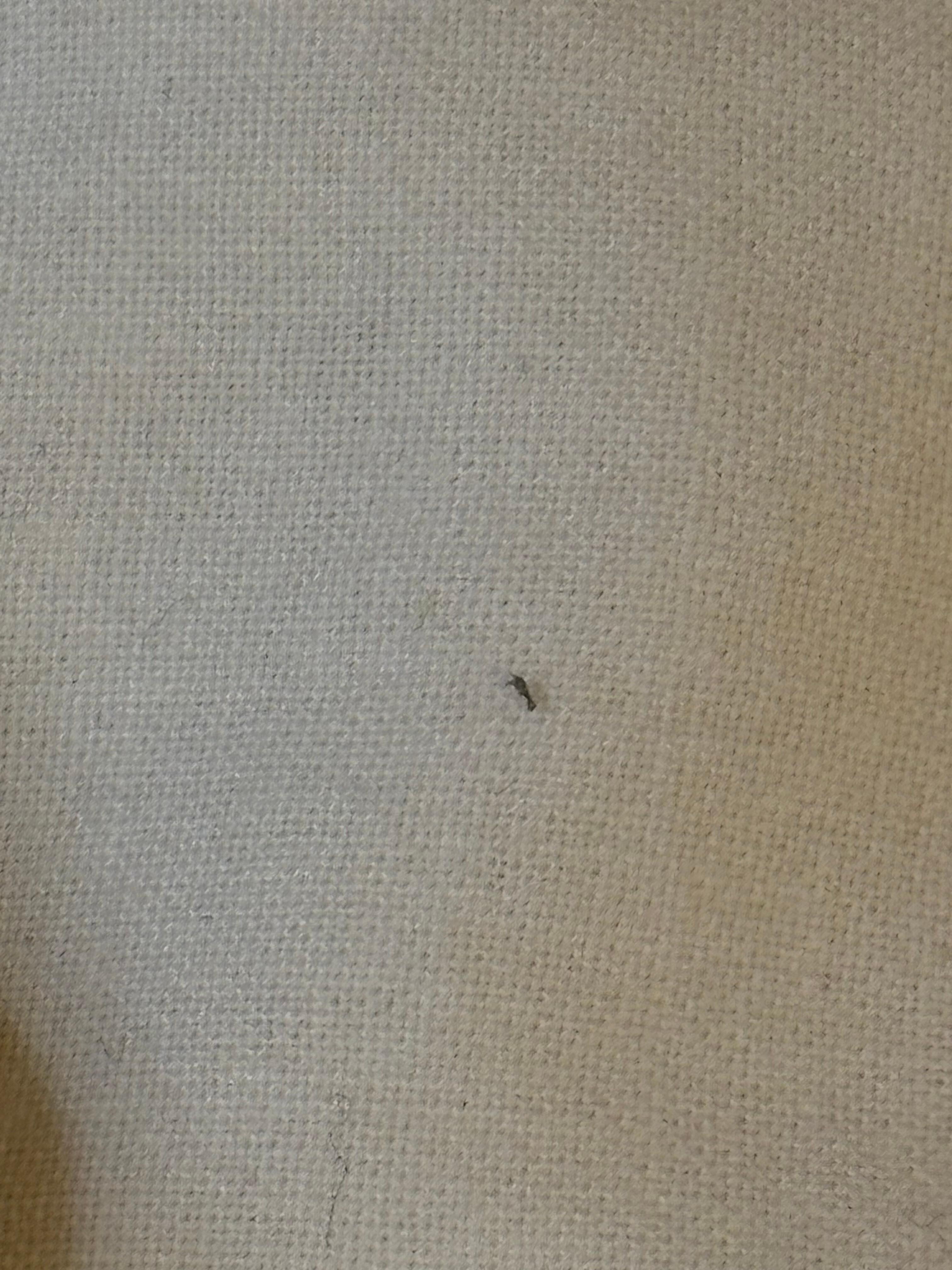 Marks on bed