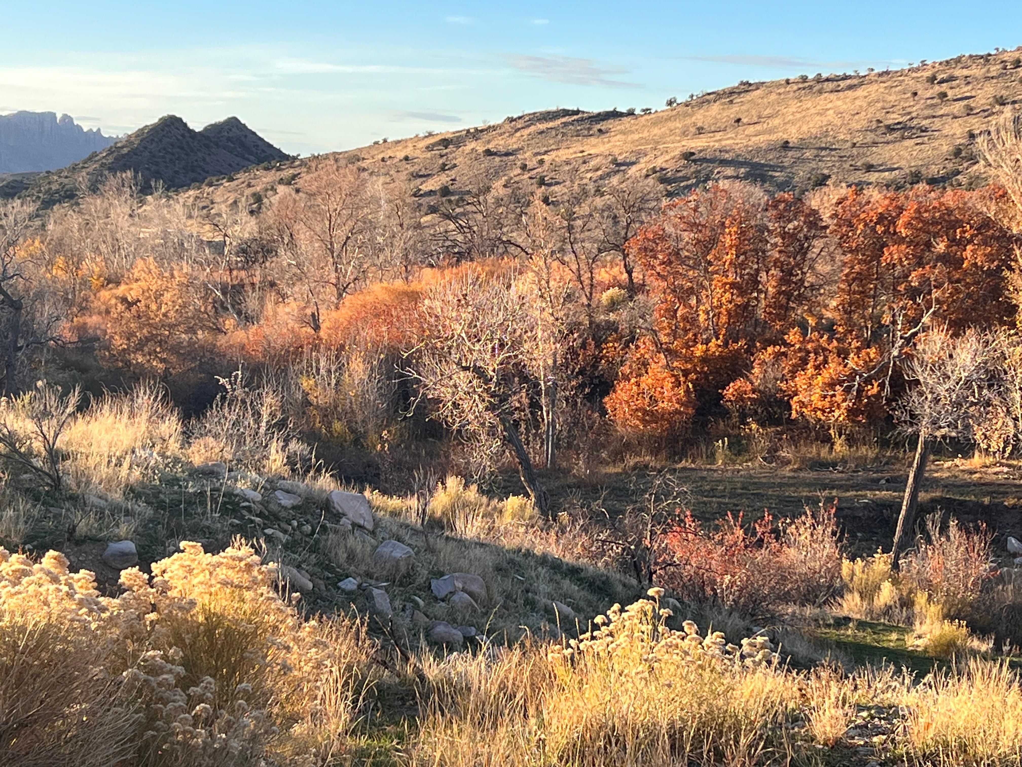 A view down to the stream