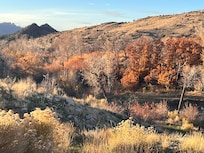 A view down to the stream
