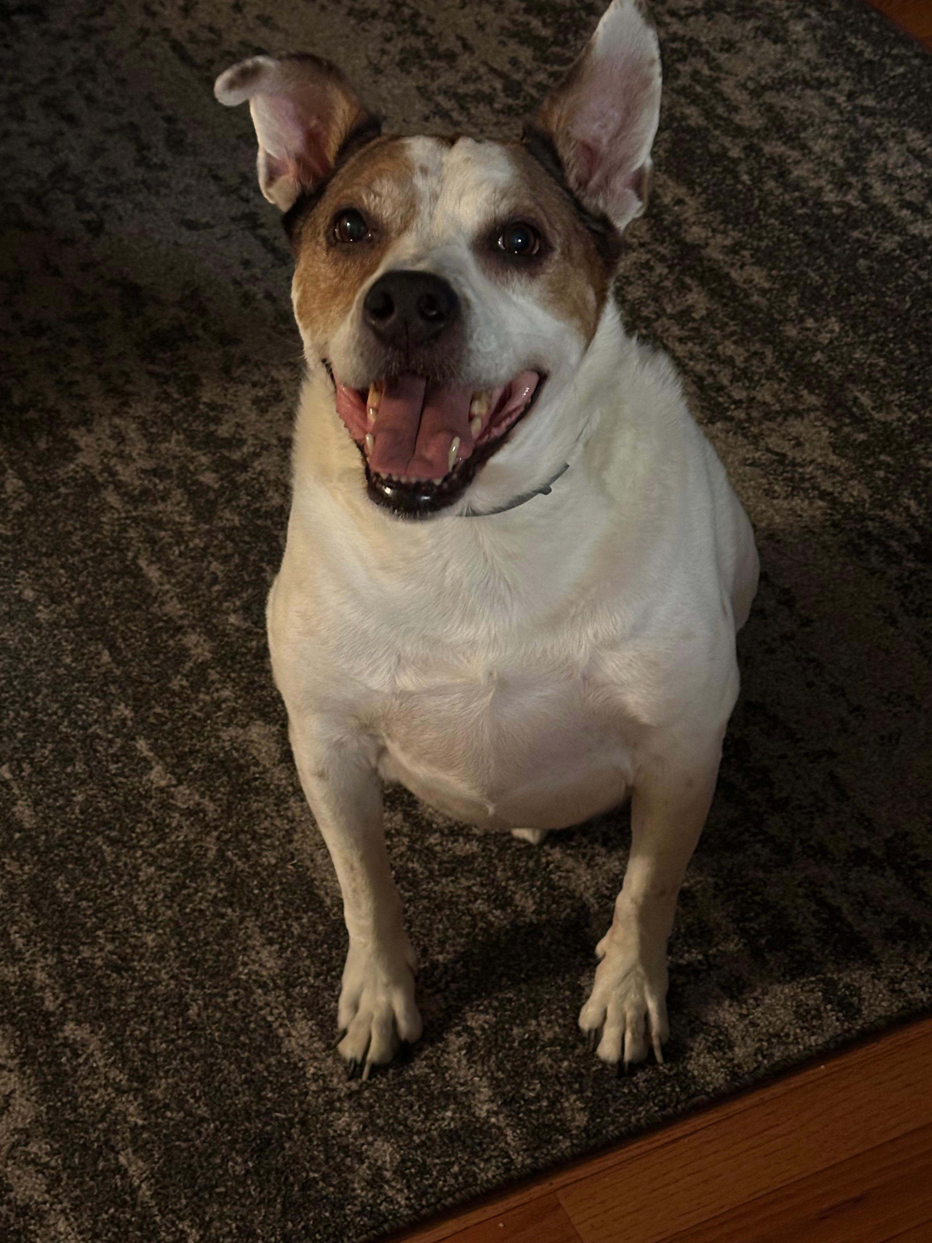 Cliff was very happy.