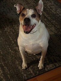 Cliff was very happy.