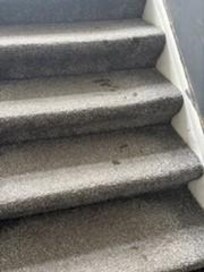 Dirty Carpets
