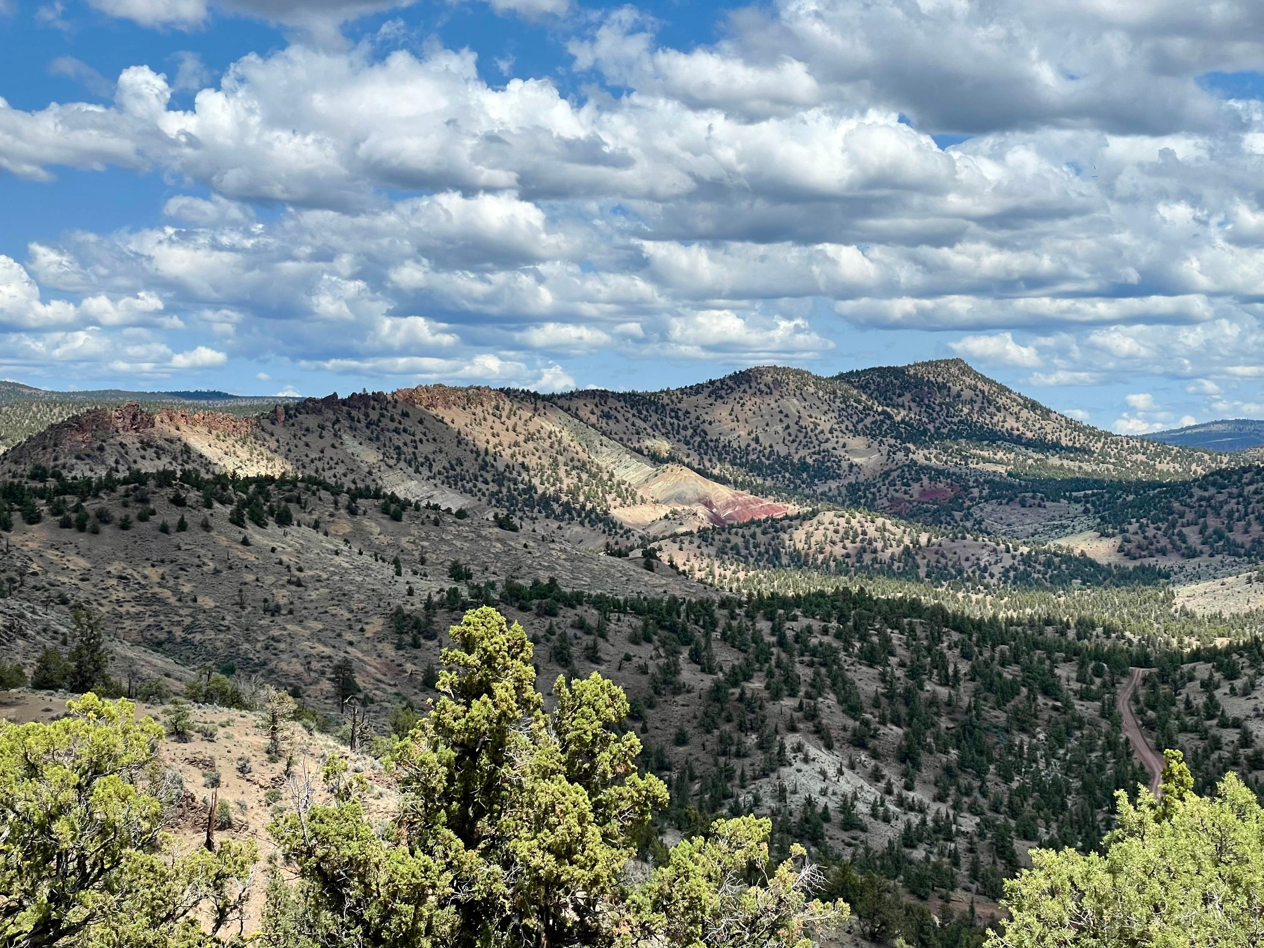 Golden hour color from the patio
