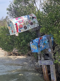 Mermaid mailbox, so fun!