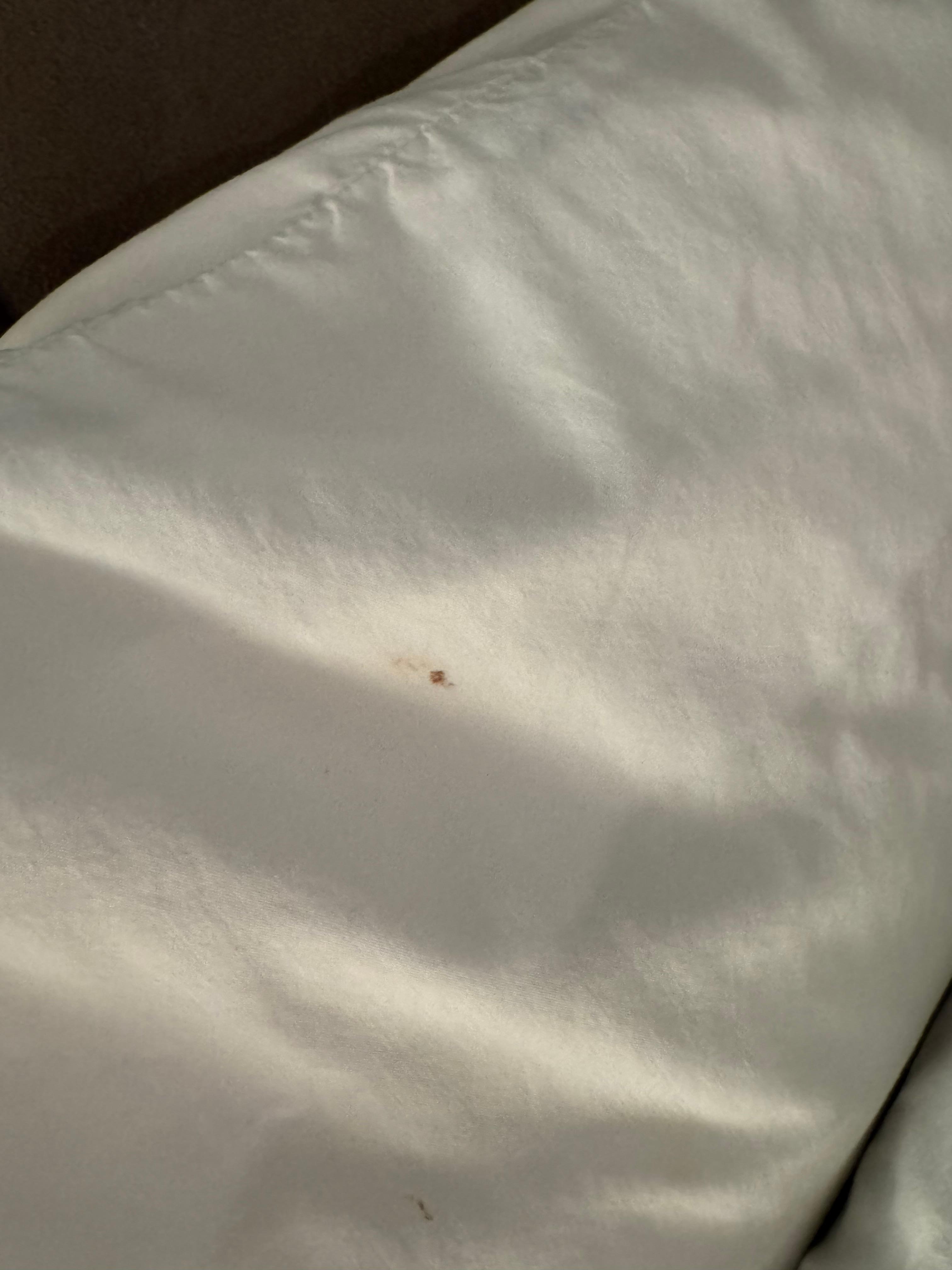 Stains on the pillowcase.