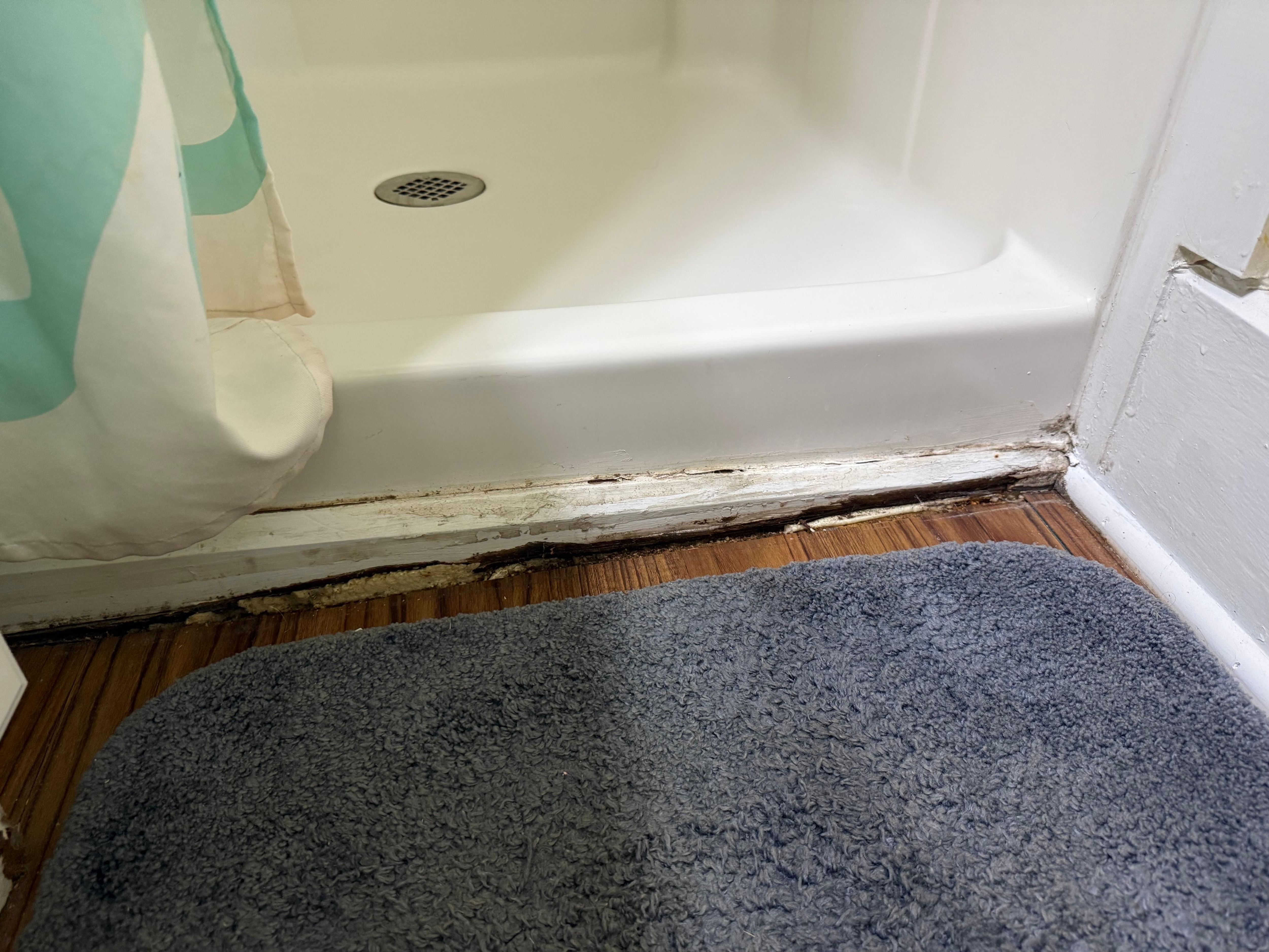 Rotten board under shower