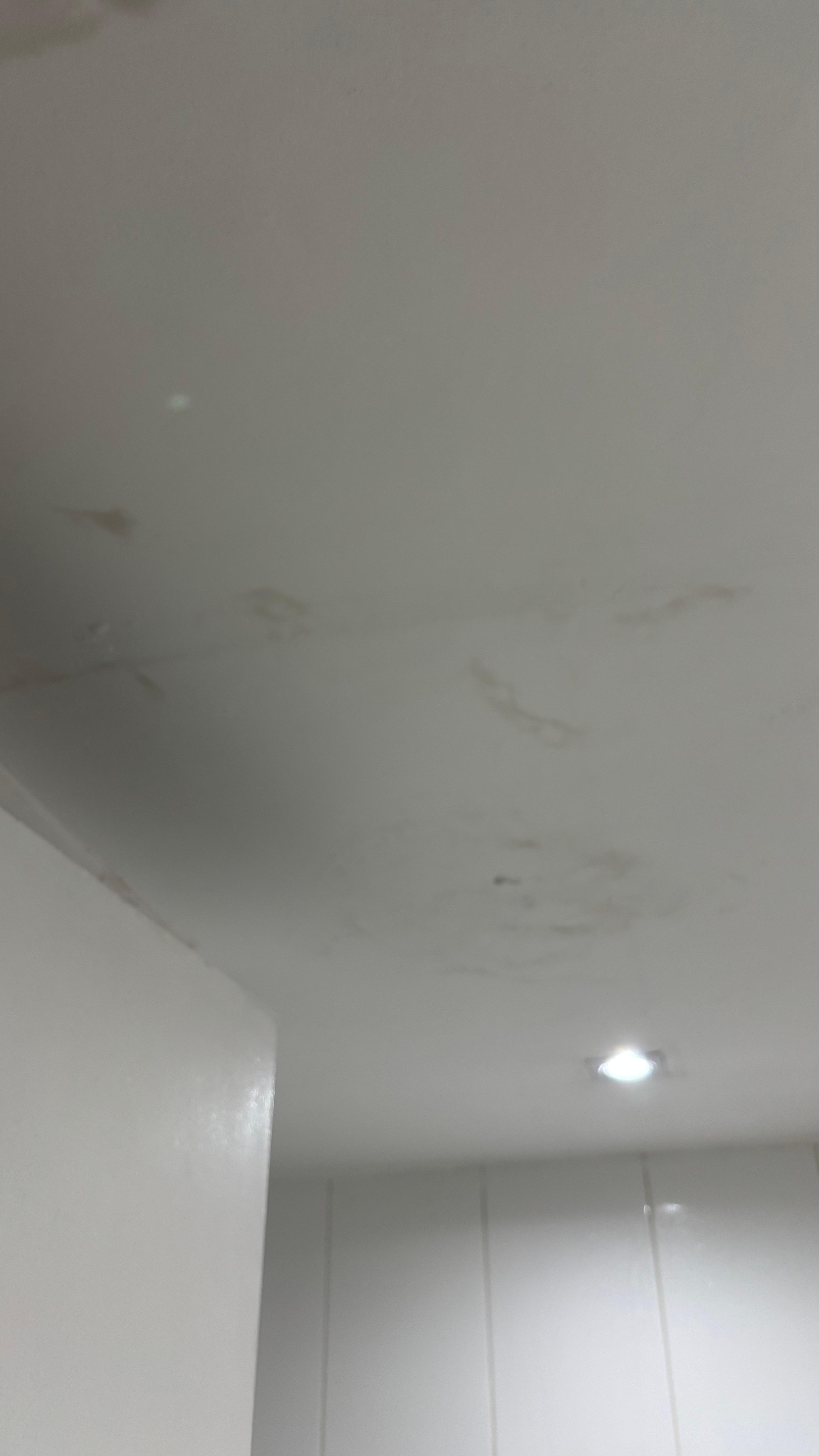 Teto do banheiro mofado