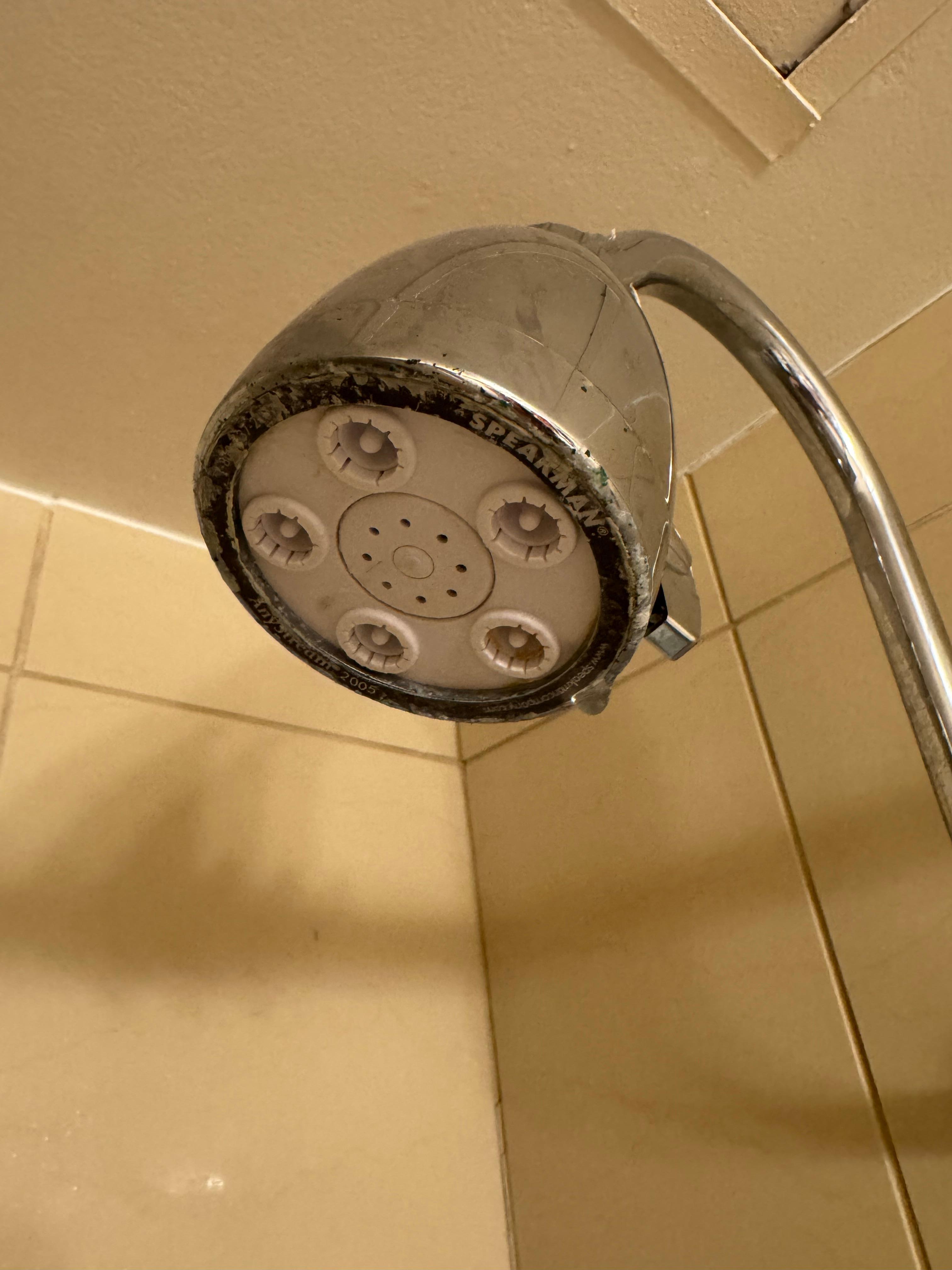 Mold on shower head