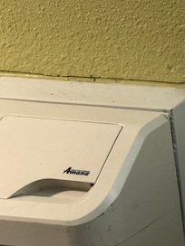 Ants in unit