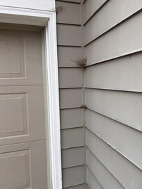 Cobwebs on outside of home