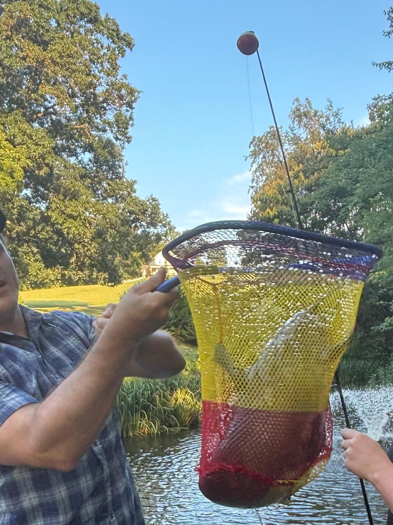 For reference, my forearm and hand are 17-18”. The backend of the fish is folded under it due to our insufficient net. 