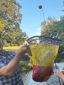 For reference, my forearm and hand are 17-18”. The backend of the fish is folded under it due to our insufficient net.