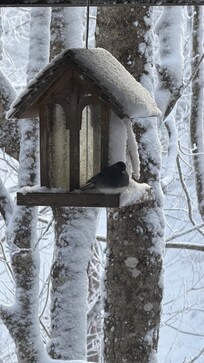 An illustrious visitor