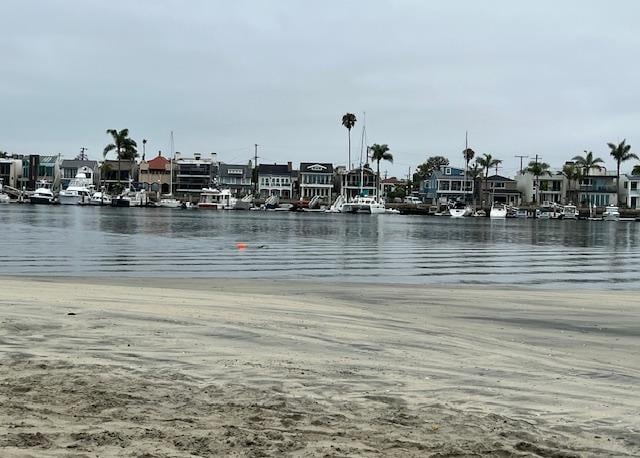 bay side morning August 2025