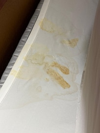 Vomit?