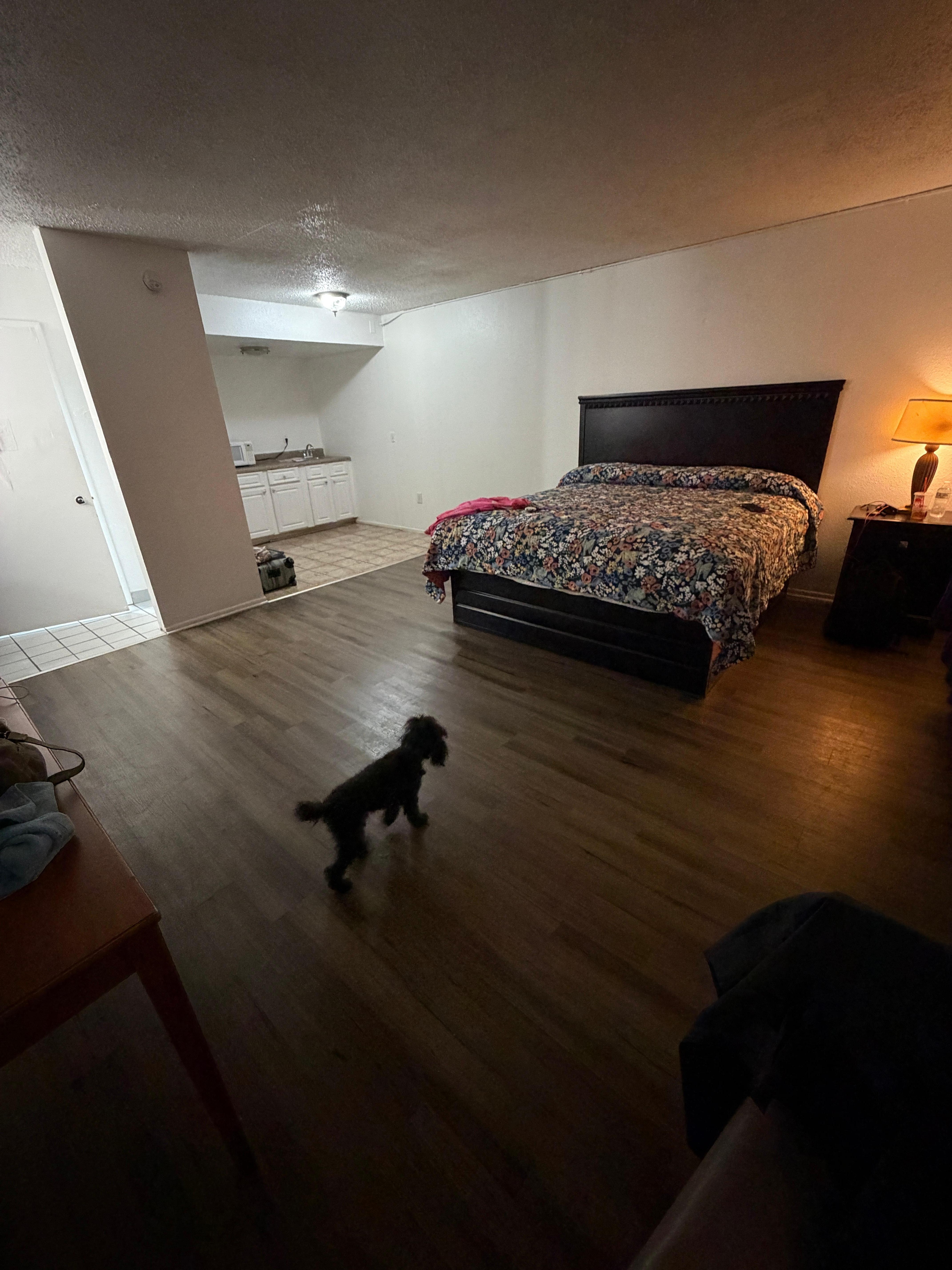 No furniture in room to sit on 