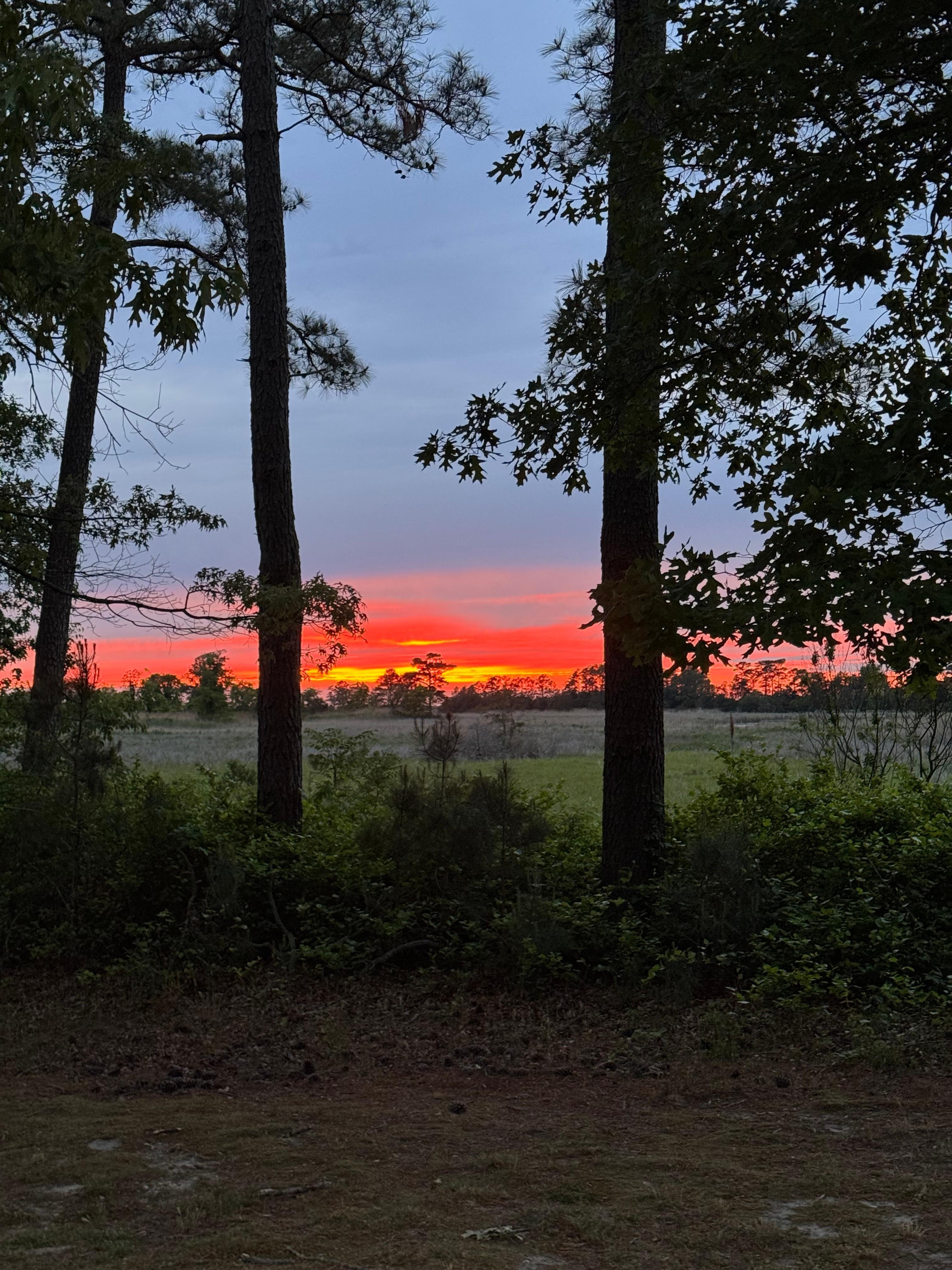 View of the sunset from the side yard / picnic area 