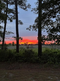 View of the sunset from the side yard / picnic area