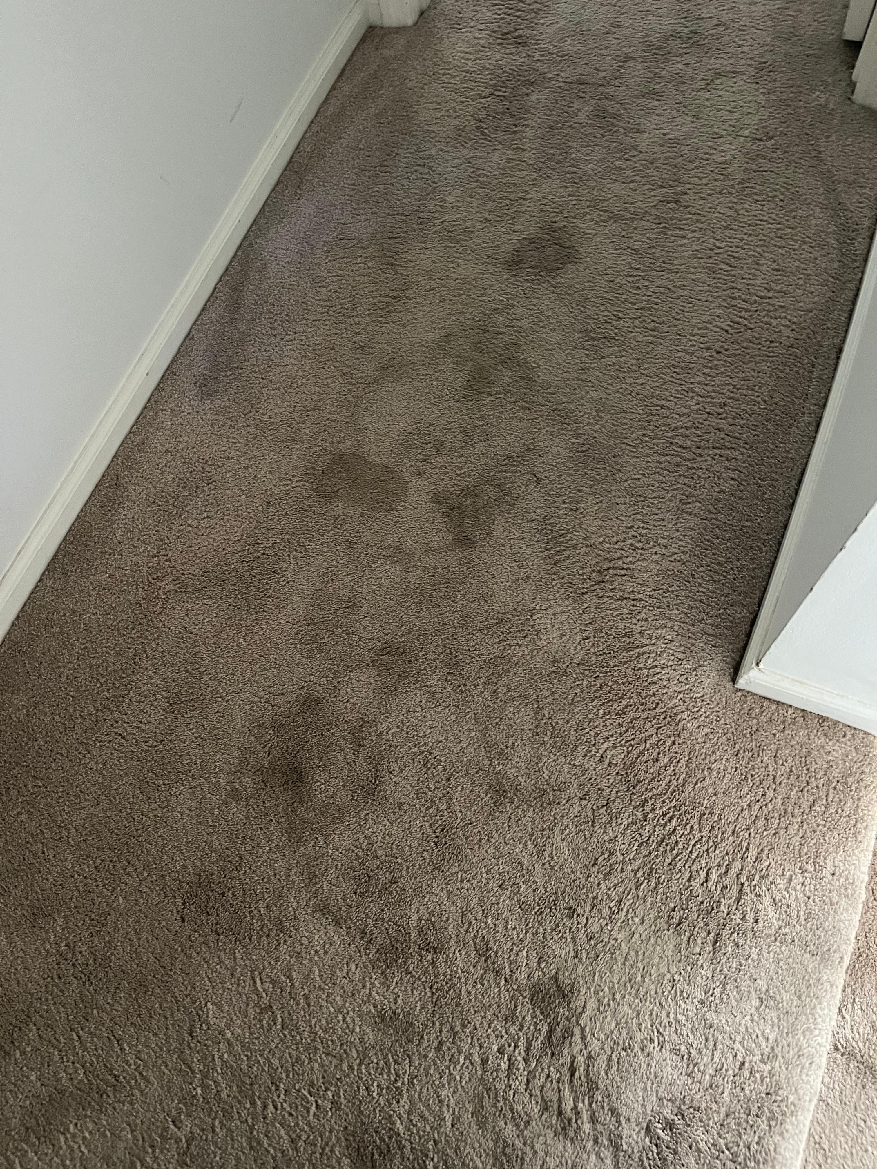 Hallway leading to upstairs bedroom.