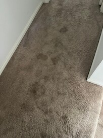 Hallway leading to upstairs bedroom.