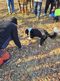 Truffle Hunting