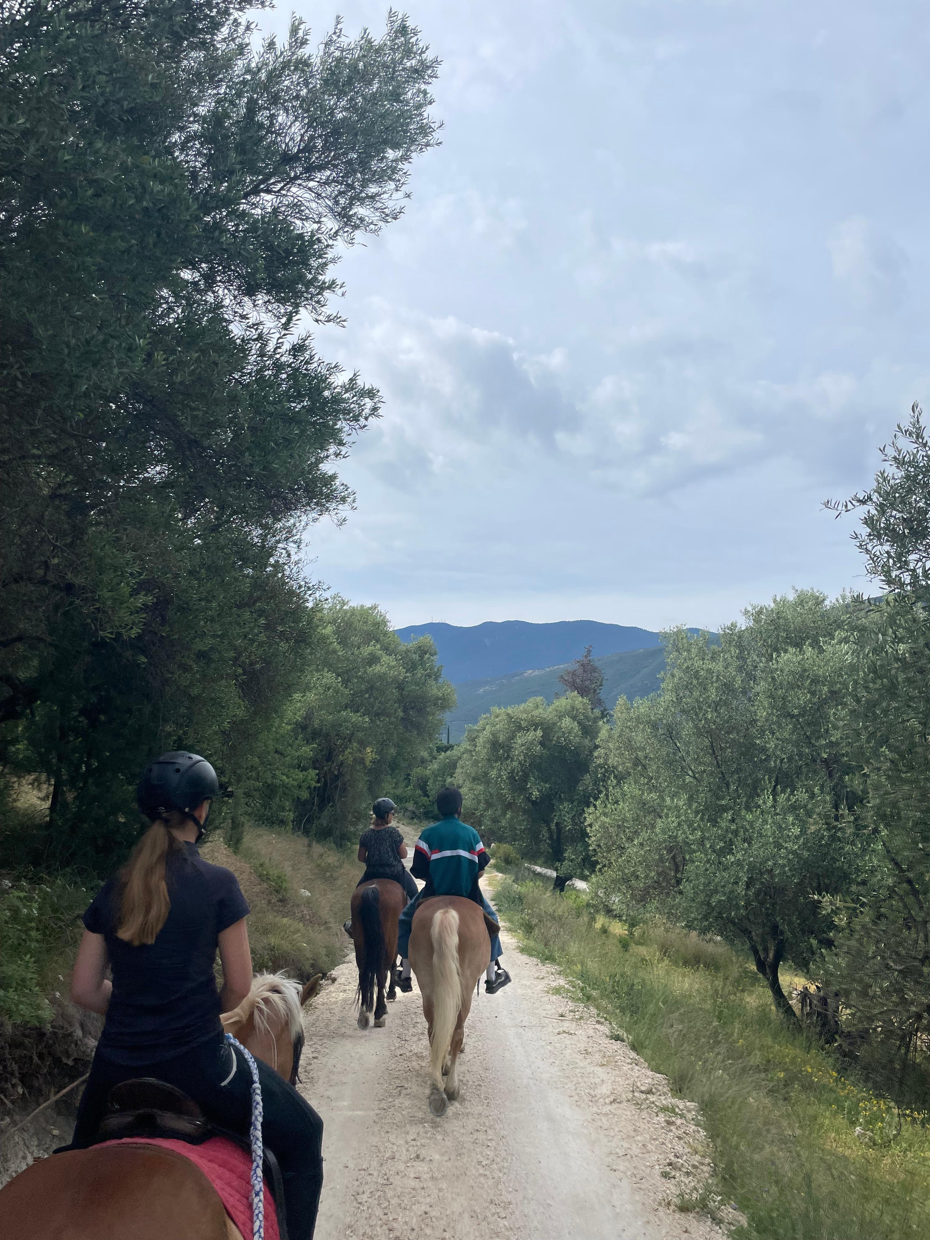 Bavarian horse back riding 