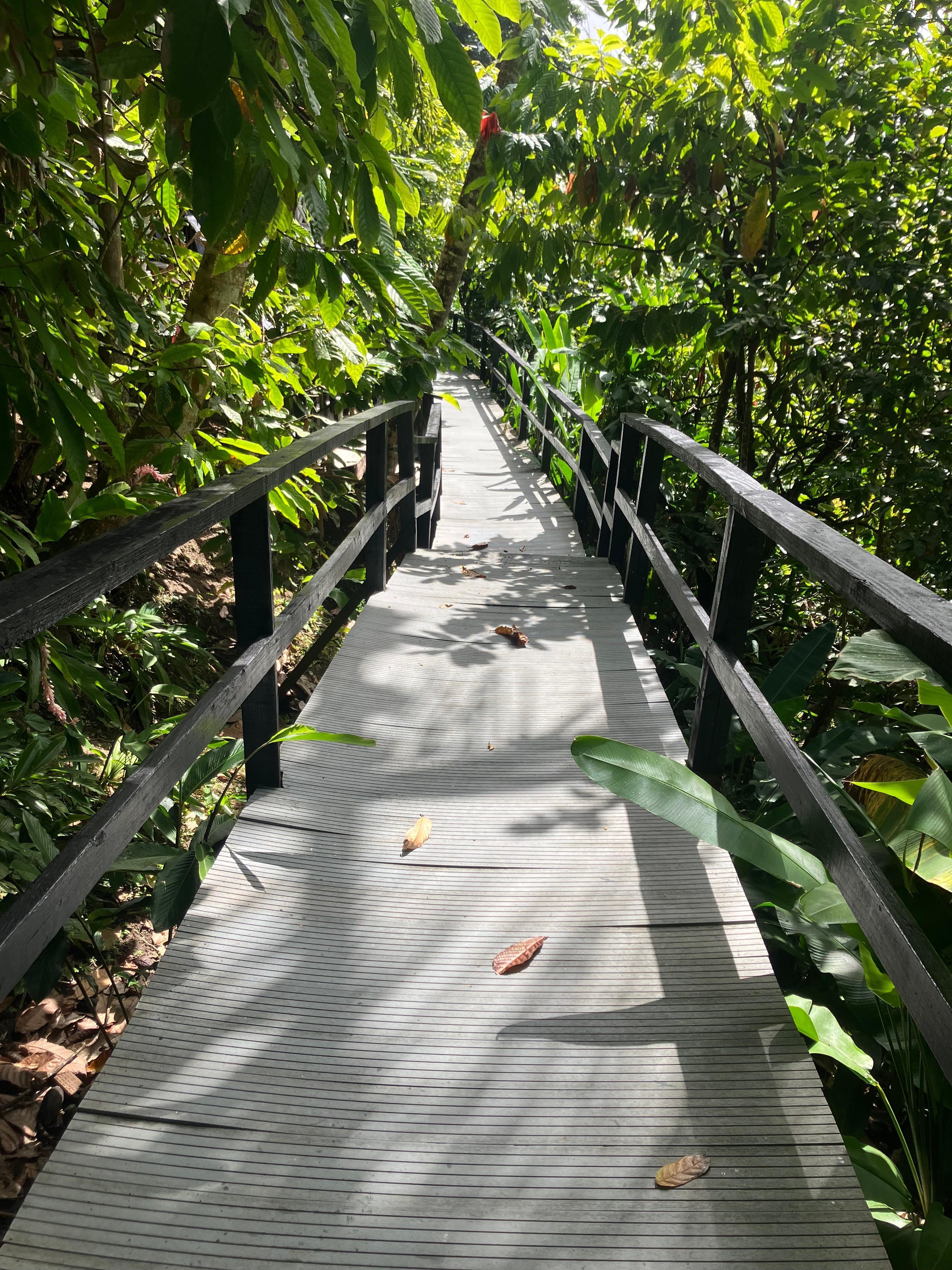 Long steep walk to our cottage , property is beautiful but needs a refresher 