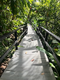 Long steep walk to our cottage , property is beautiful but needs a refresher