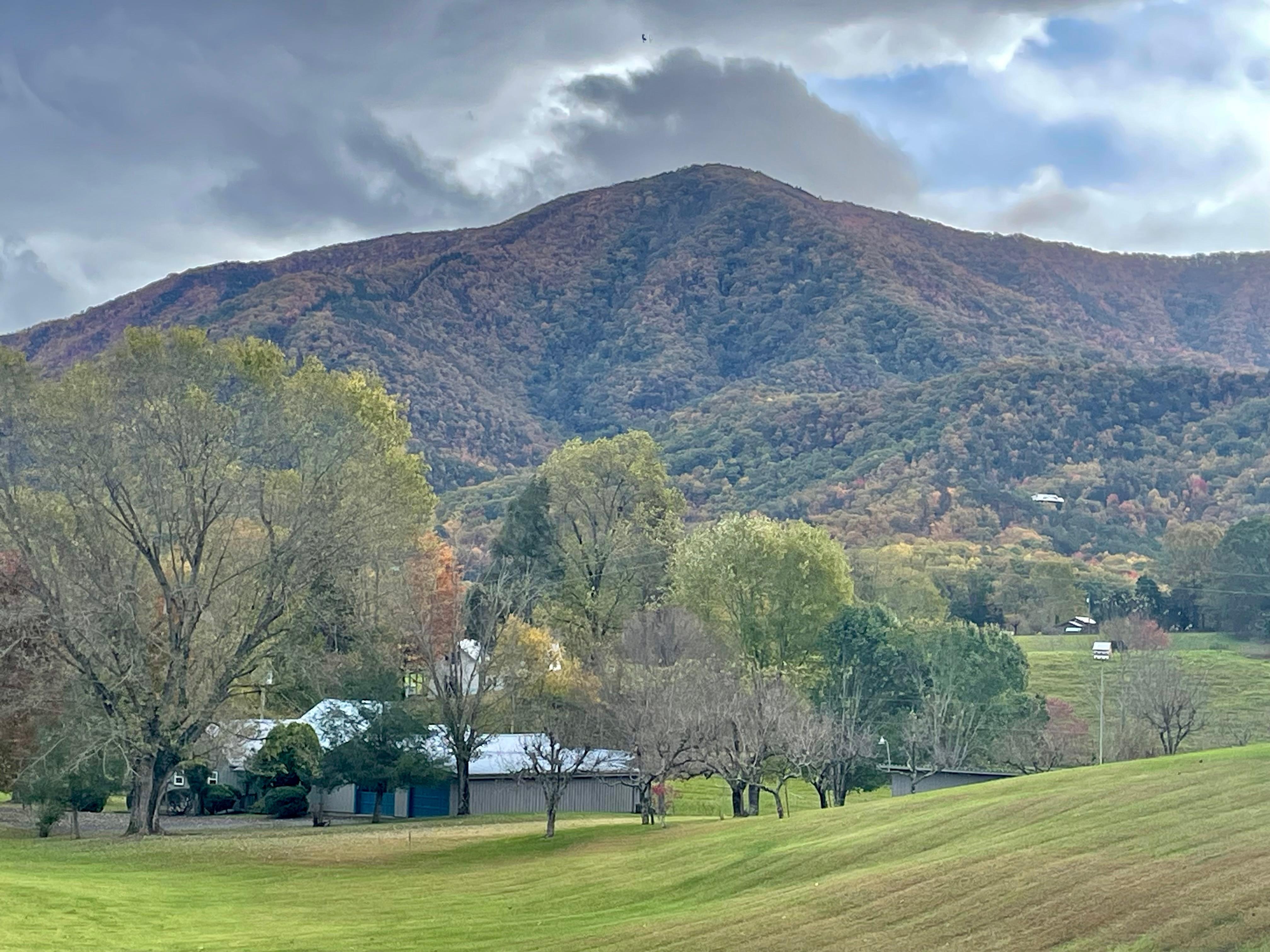 View from back deck was spectacular.