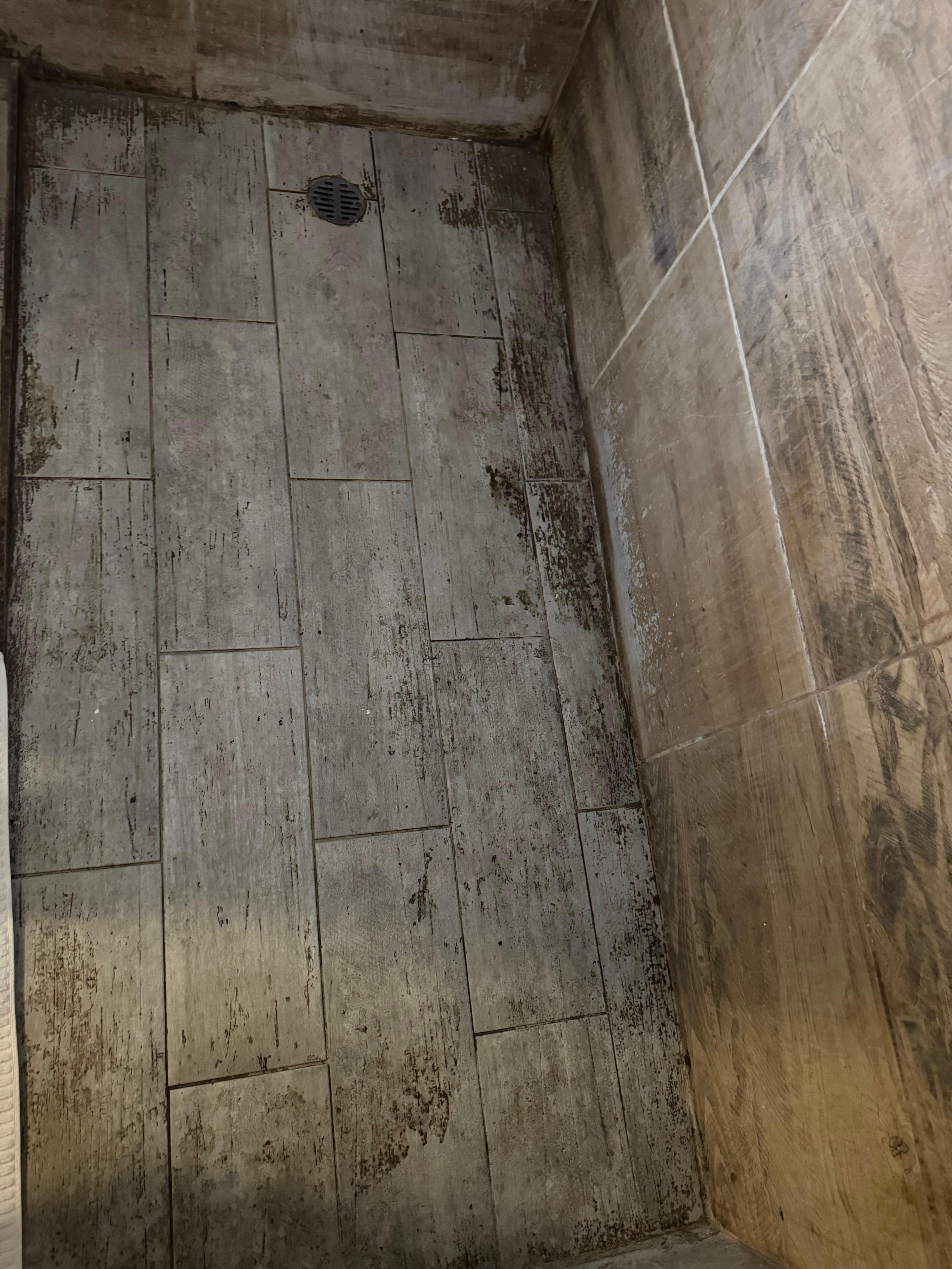 Extremely unsanitary floor, full of mold, not stained but black mold and smelly.